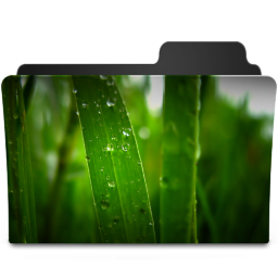 Grass II Icon 256x256 png